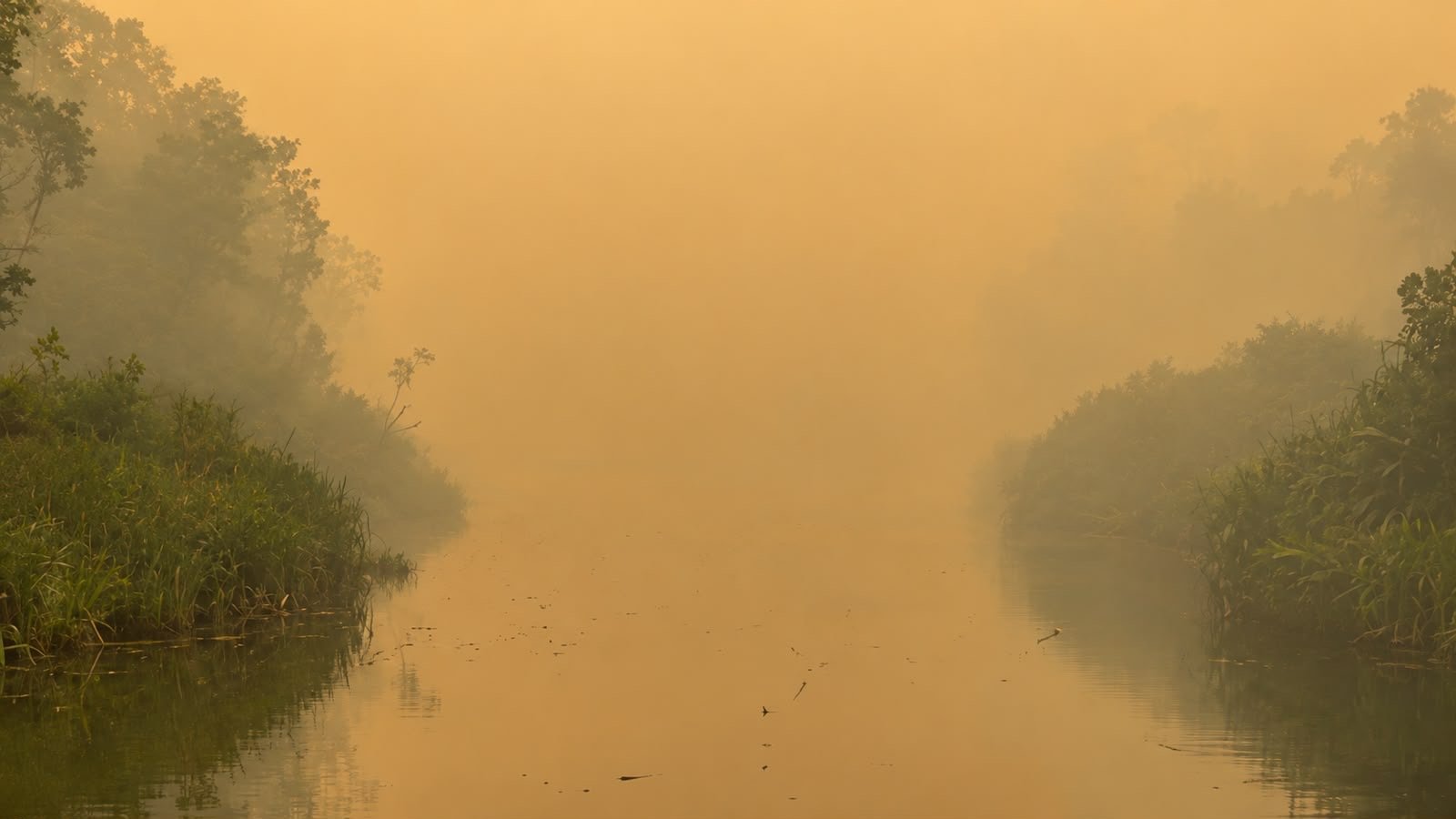 Lidah Api Masih Mengancam TN Tanjung Puting, Tim Gabungan Fokus Amankan Habitat Satwa